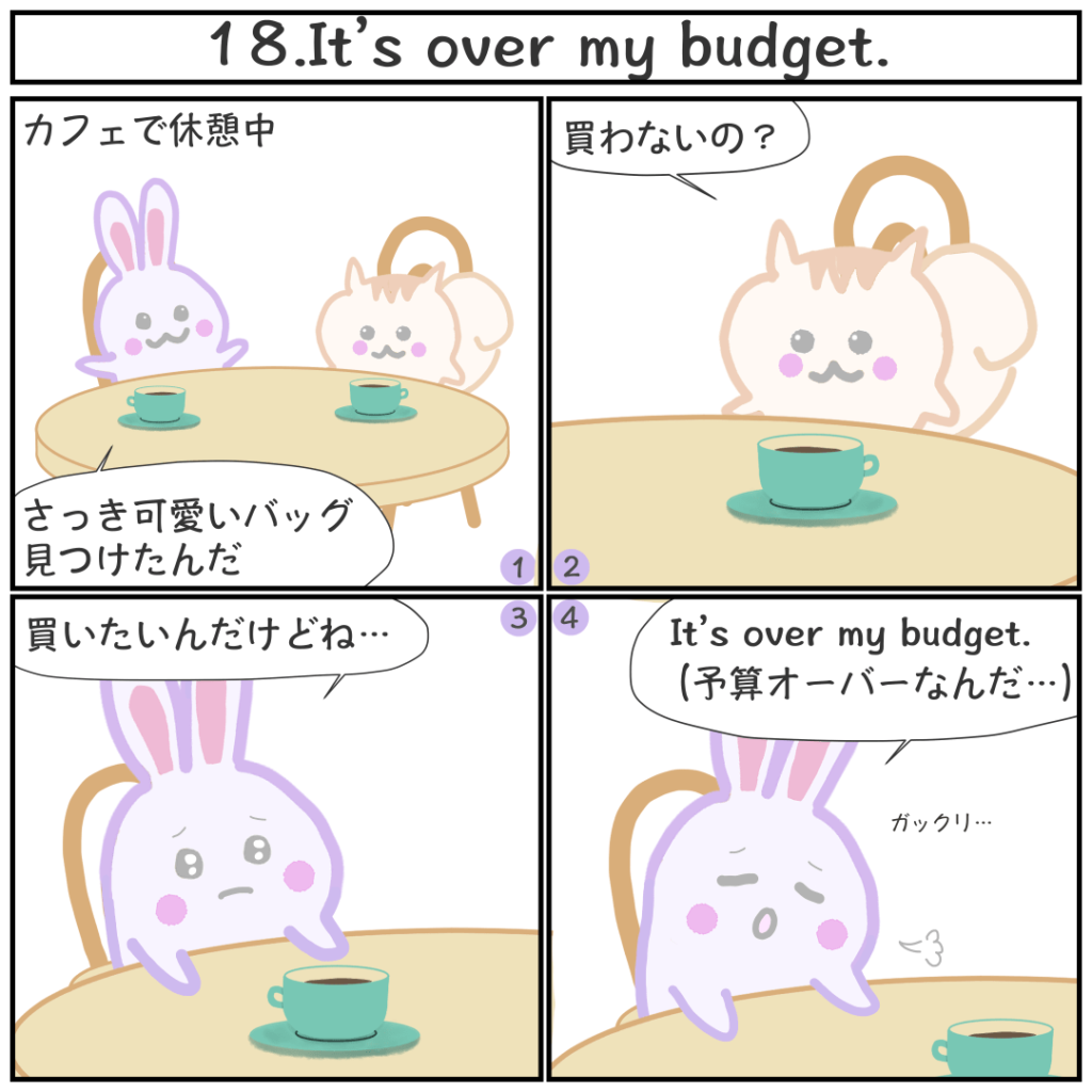 It’s over my budget.